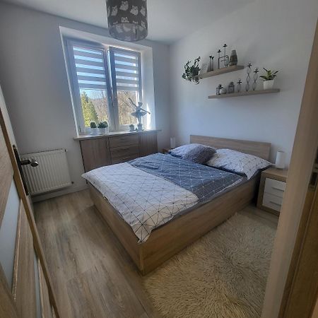 Apartament Twoja Chwila Stronie Śląskie エクステリア 写真